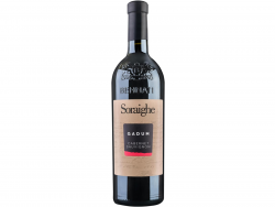 Bennati Cabernet Sauvignon Gadum Soraighe 0,75