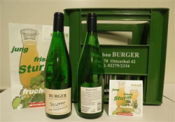 Burger Sturm rot 1x1,0