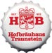 Hofbräu Traunstein Export Hell 20x0,5