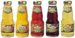 Pölz Traubensaft Rot 12x0,2