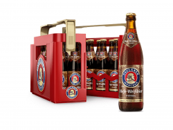 Paulaner Weissbier Dunkel 20x0,5