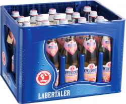 Labertaler Wellness Apfel 20x0,5