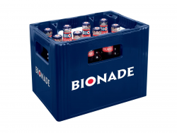 Bionade Holunder 12x0,33