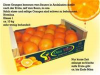 Orangen erntefrisch und reif ca. 10kg