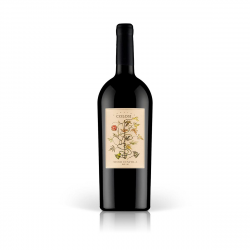 Colosi Nero d Avola 1,5  in Holzkiste