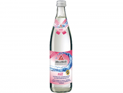 Pöllinger Elsbethen naturell Mineralwasser  20x0,5 Glas